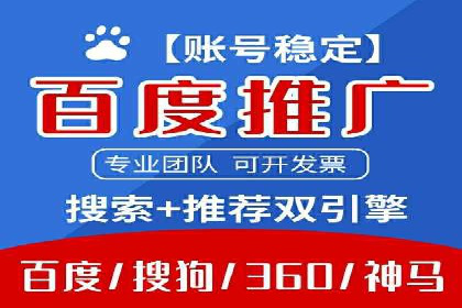 某行业sem代运营推广公司成功案例分析